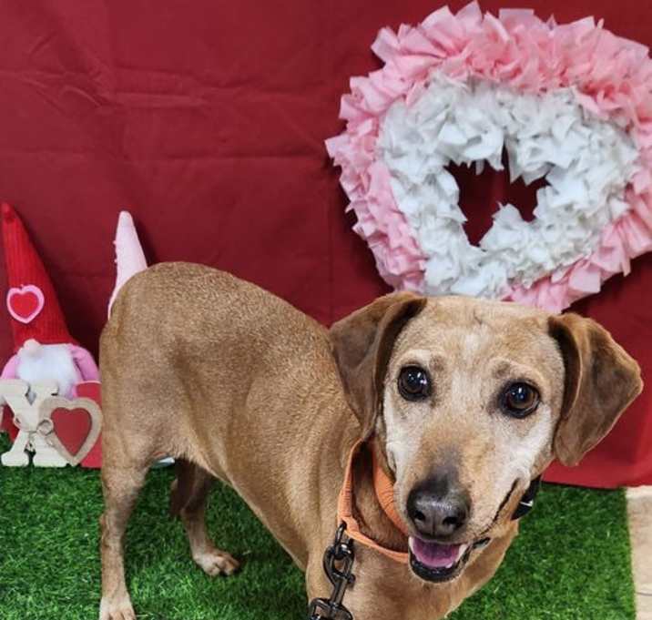 Photo of Ruby