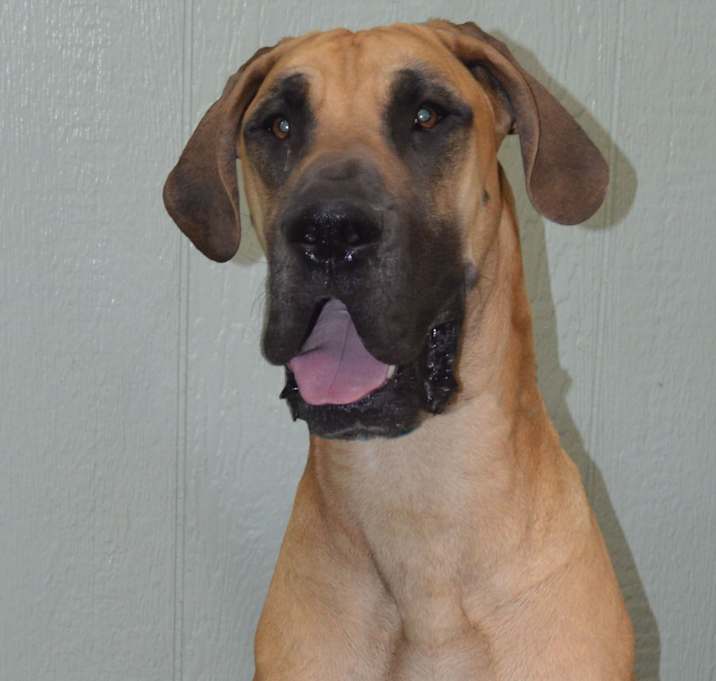 Photo of Waylon