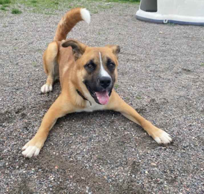 Photo of Tucker