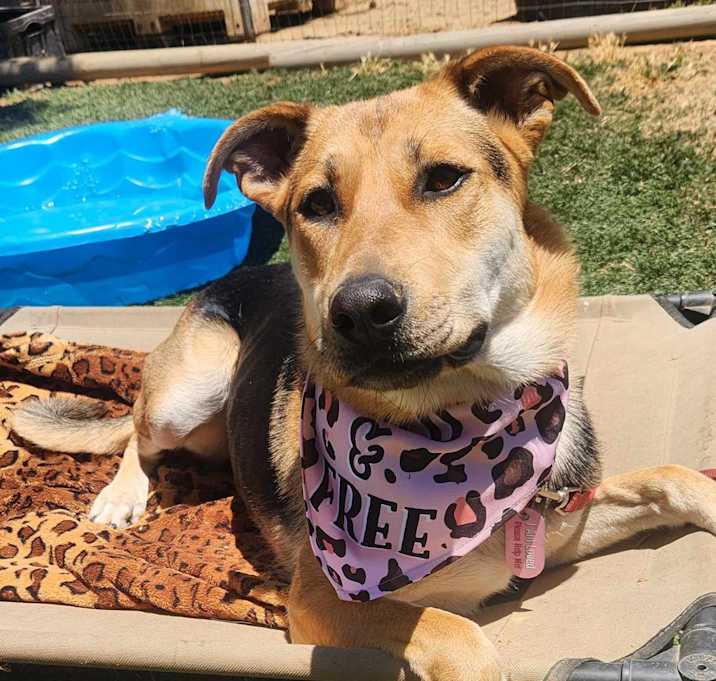 Photo of Annie
