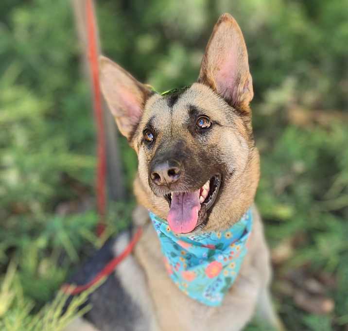 Photo of Gretel