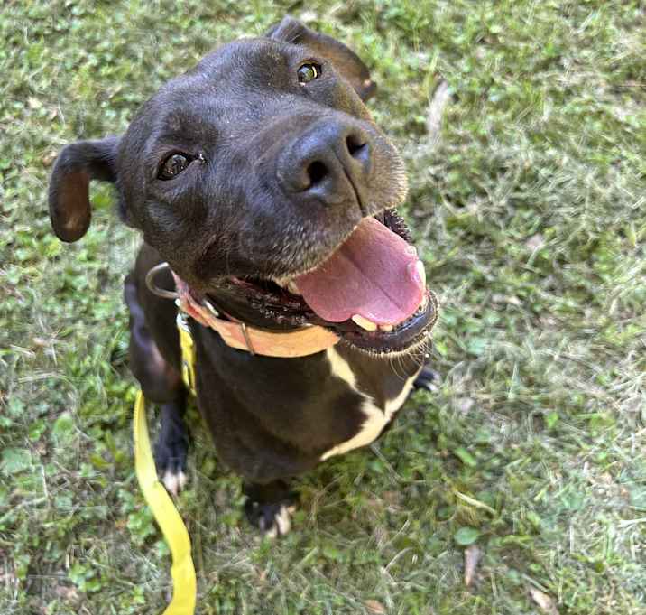 Photo of Zeus