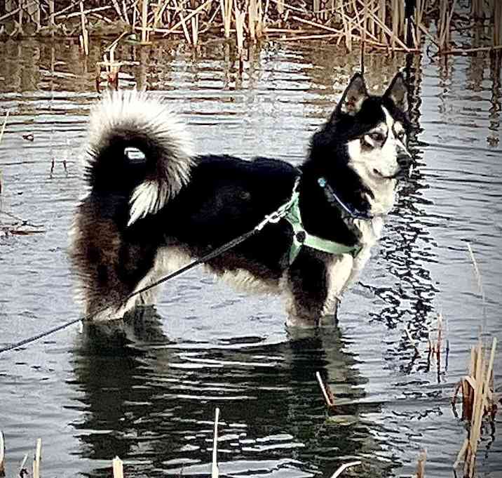 Photo of Seth