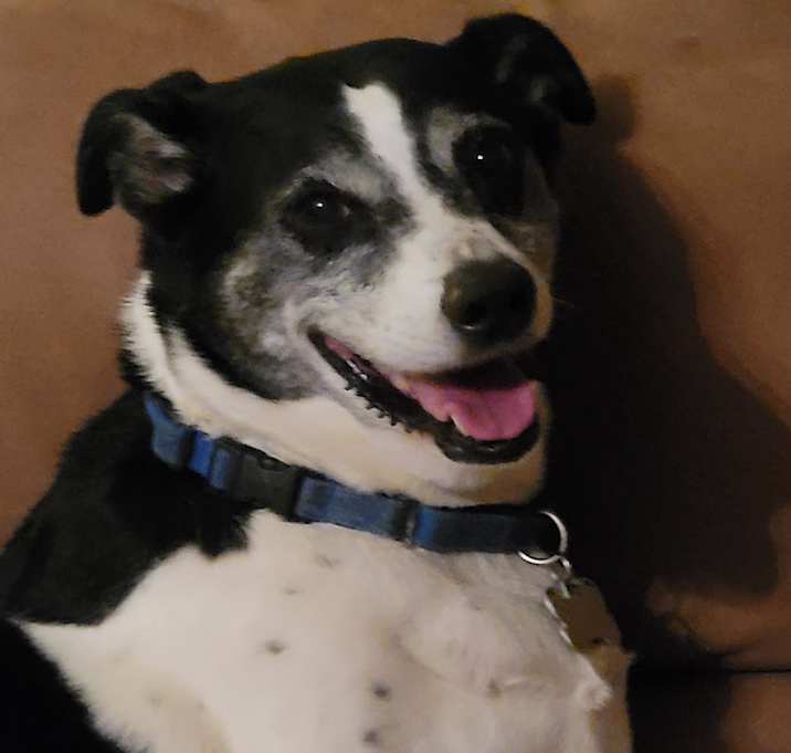 Photo of Carlton