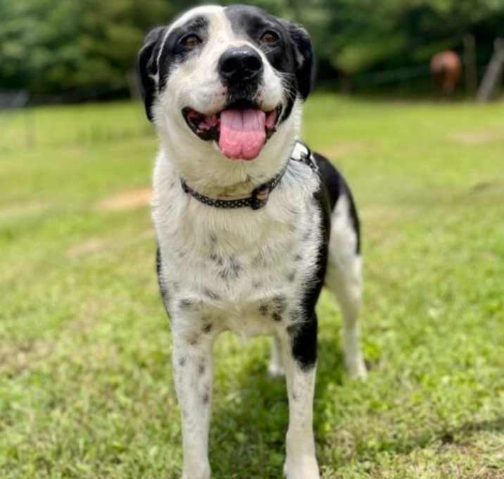 Photo of Lady