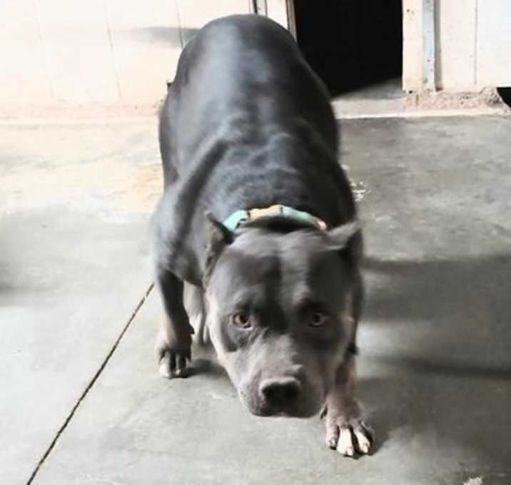 Photo of Lettie