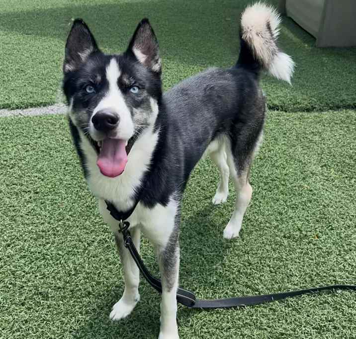 Photo of Zeus