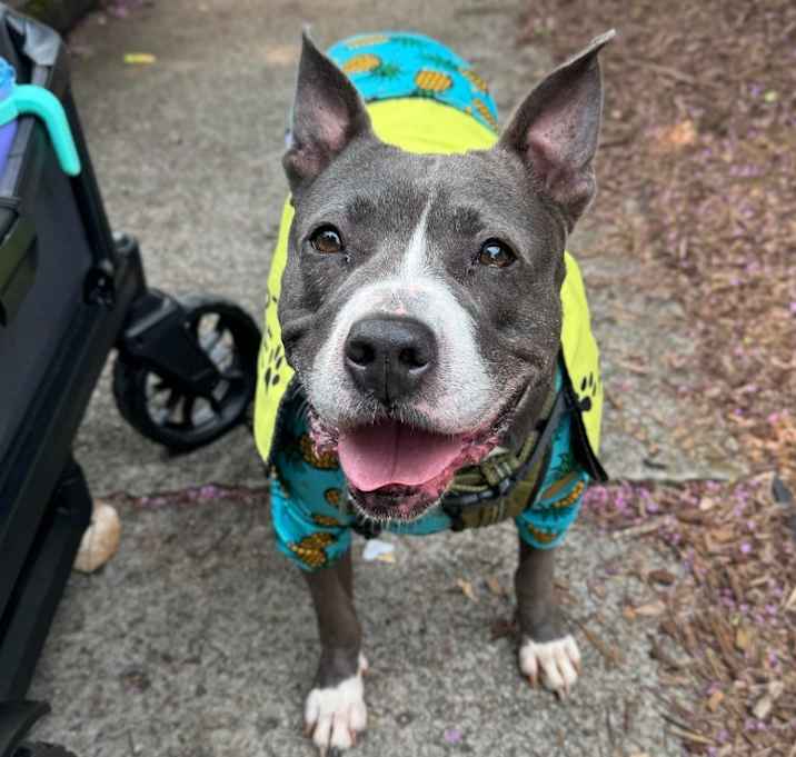Photo of Jemma  A045672