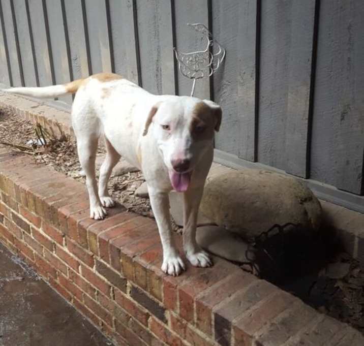 Photo of Holly