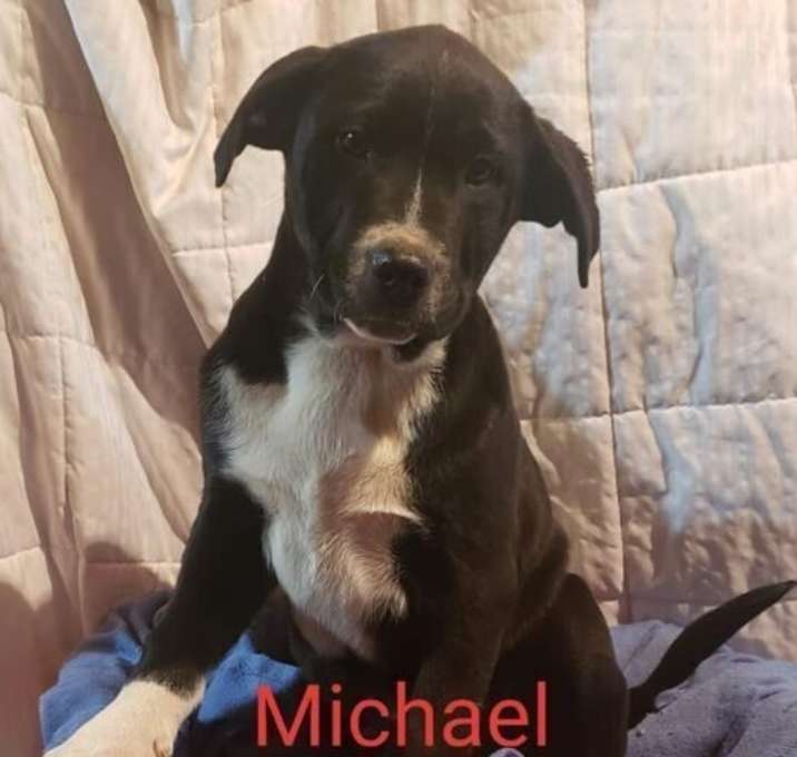 Photo of Michael