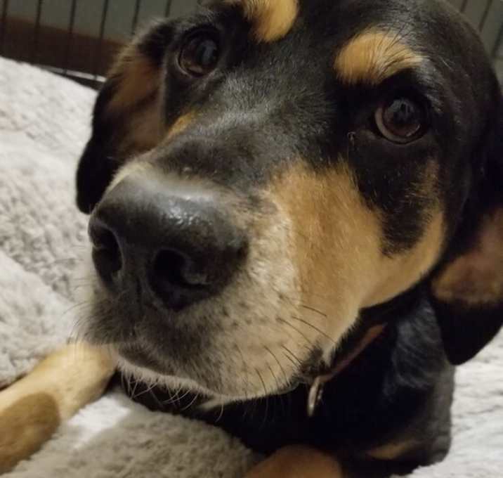 Photo of Roo