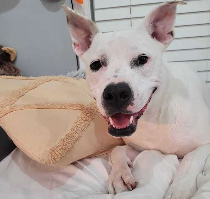 Photo of Noelle