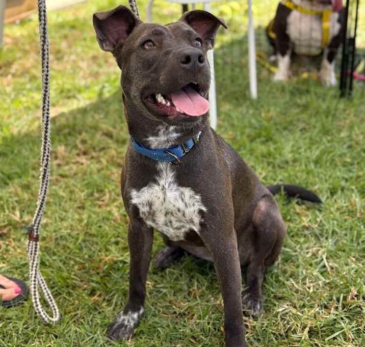Photo of Ripley