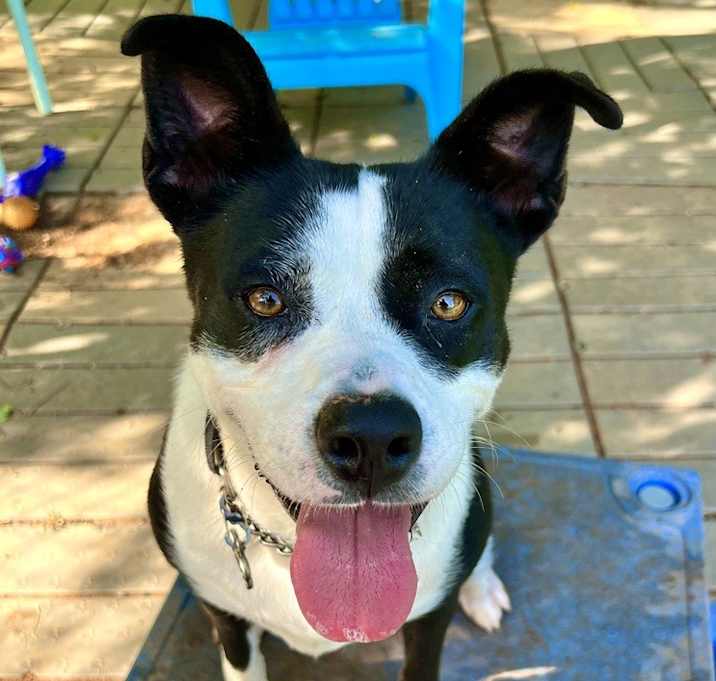 Photo of Hazel