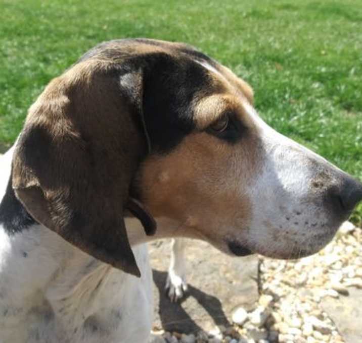 Photo of Bonnie