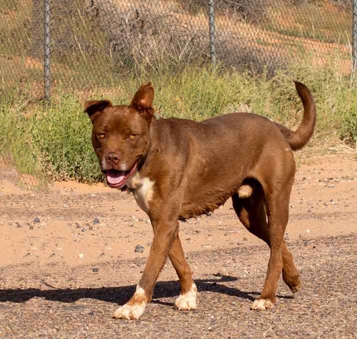Photo of Silas