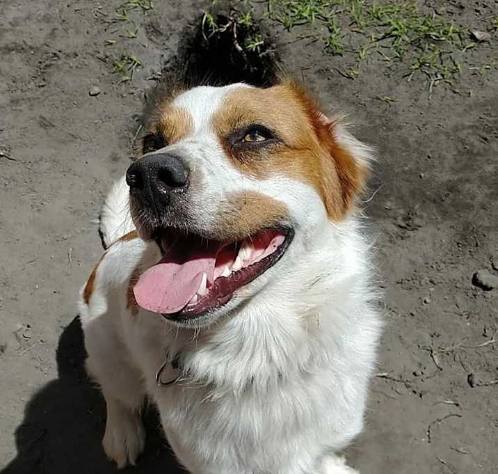 Photo of Diego
