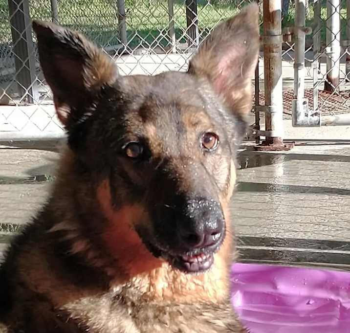 Photo of Diamond