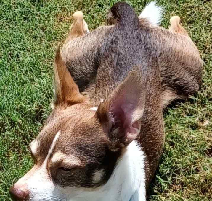 Photo of Tiny