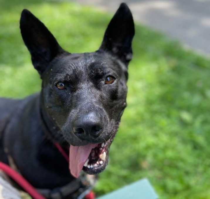 Photo of Jack