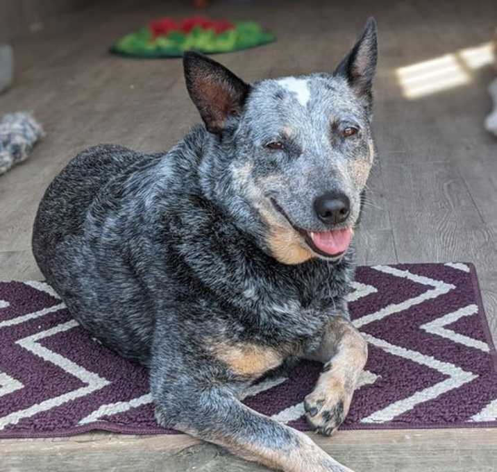 Photo of Blossom