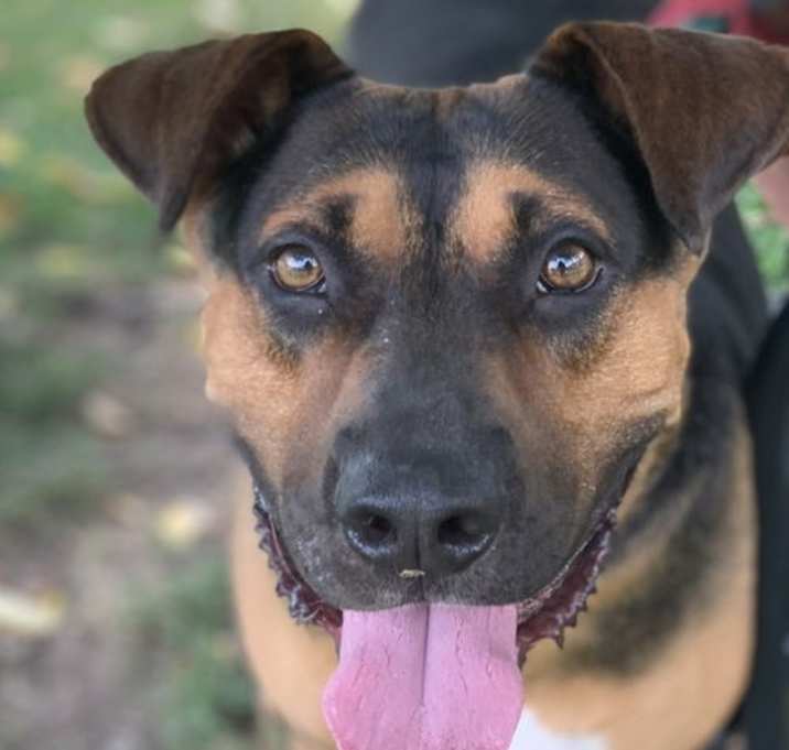 Photo of Duke