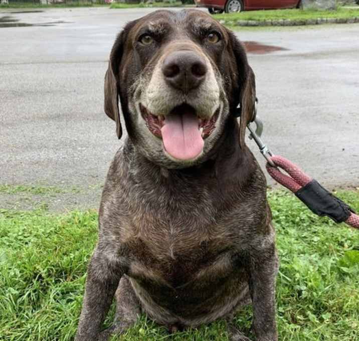Photo of Remi