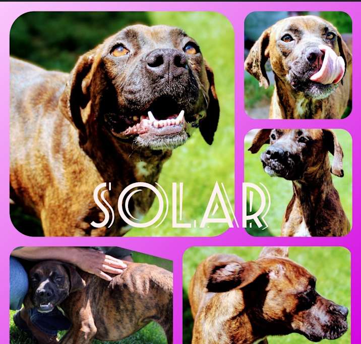 Photo of SOLAR
