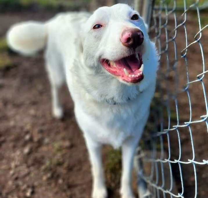Photo of Tina (aka Eowyn)