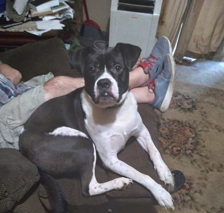 Photo of Howie