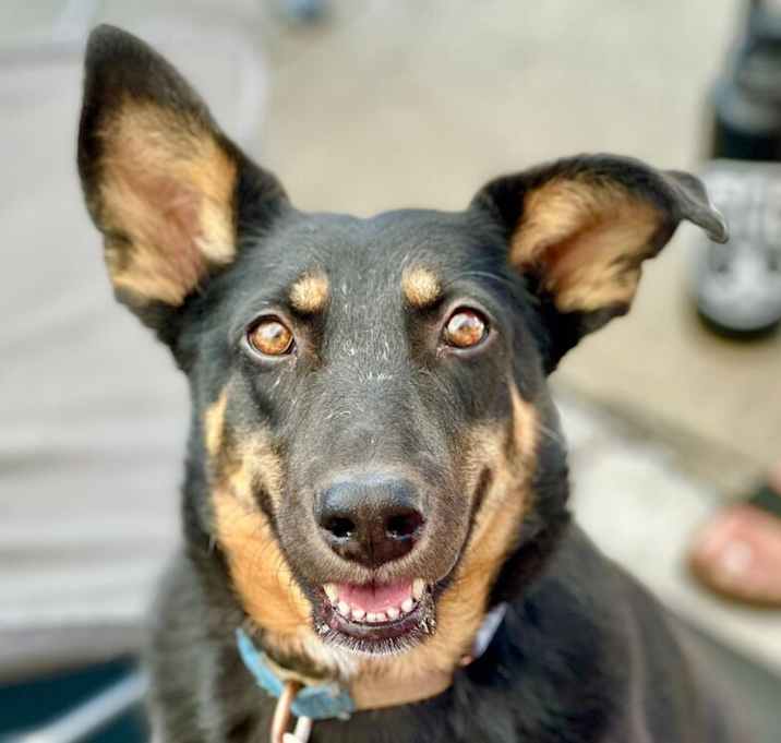 Photo of Lucy