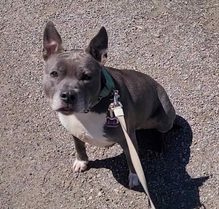 Photo of Winnie