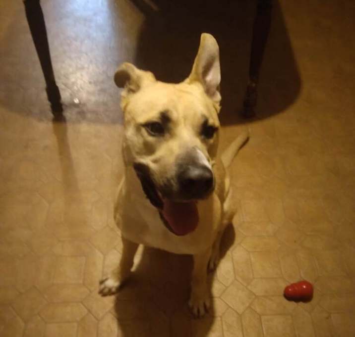 Photo of Ricardo