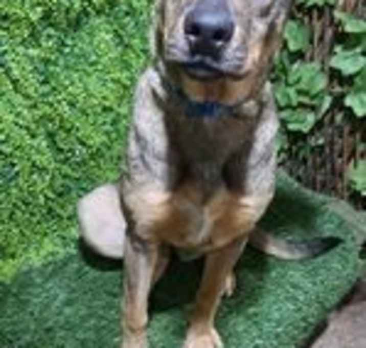 Photo of Gabby