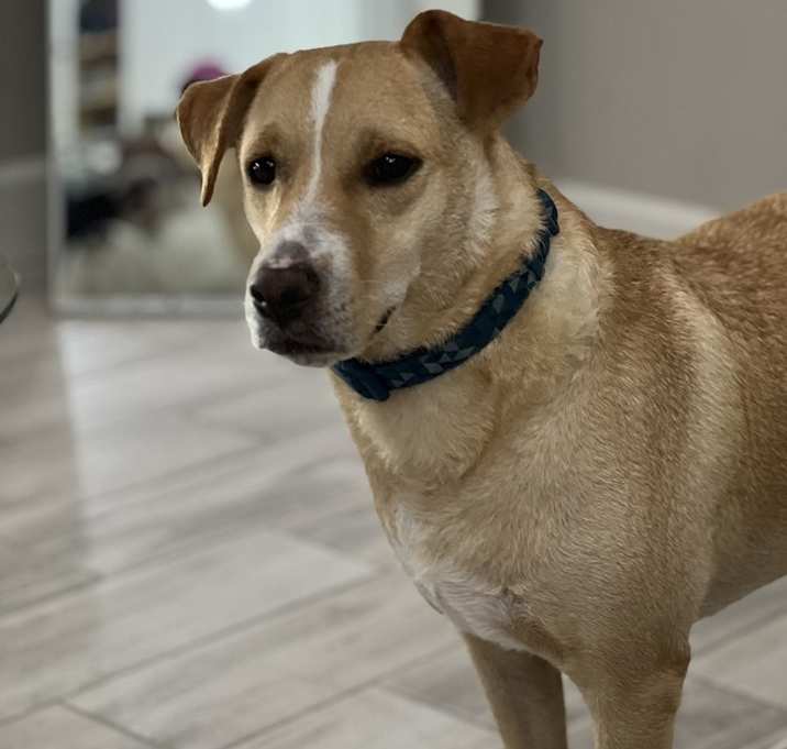 Photo of Riley