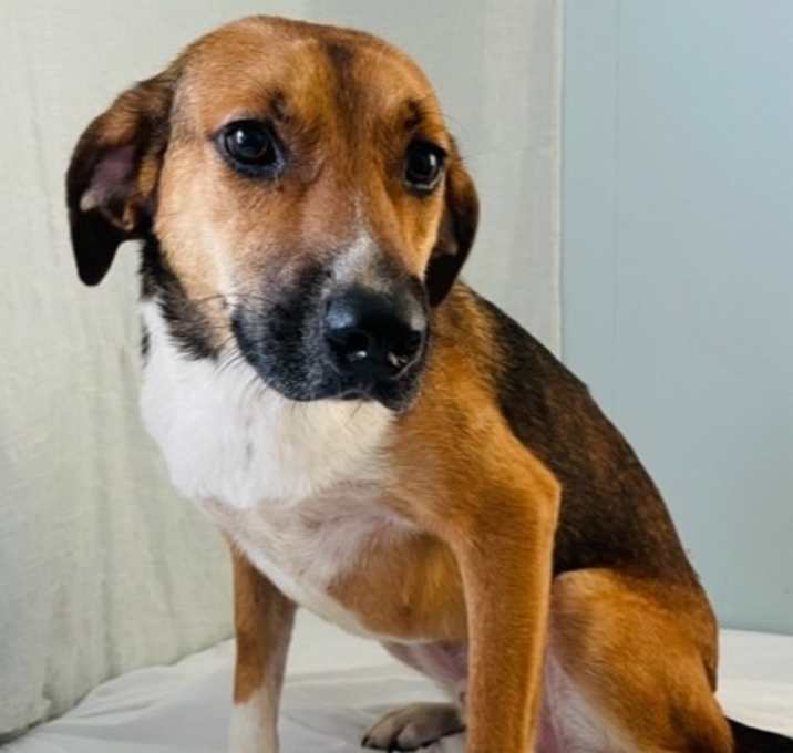 Photo of Bruno
