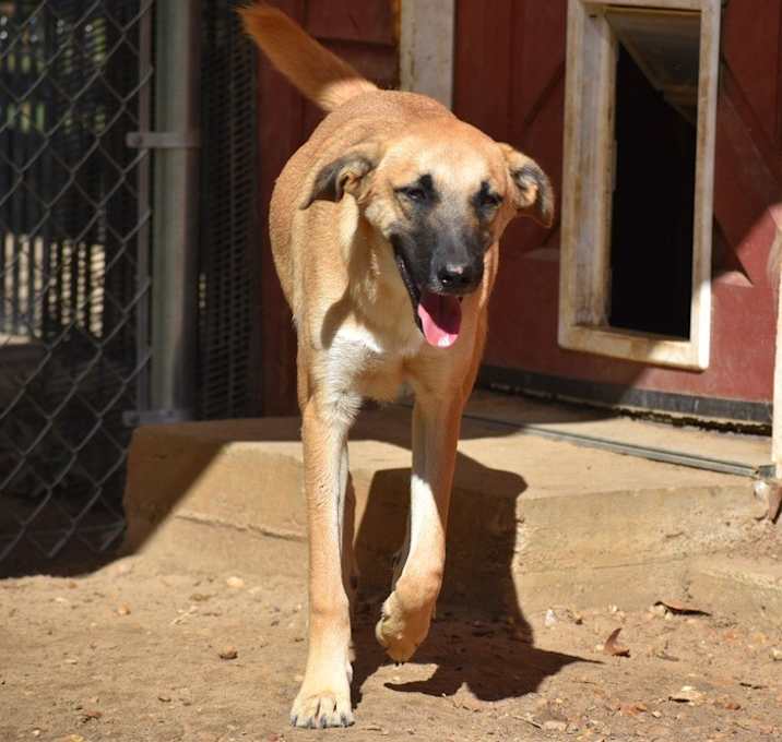 Photo of Ace