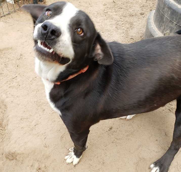 Photo of Buster Brown