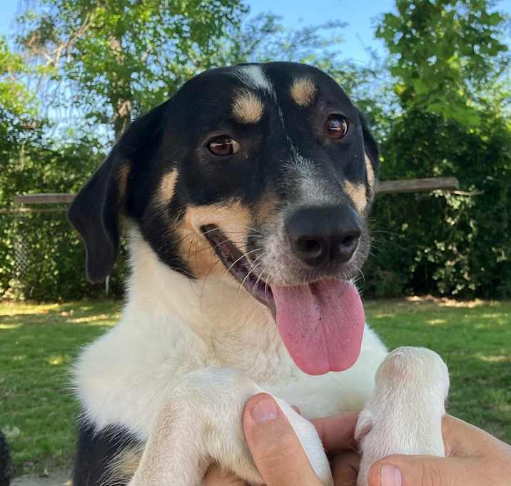 Photo of Nova
