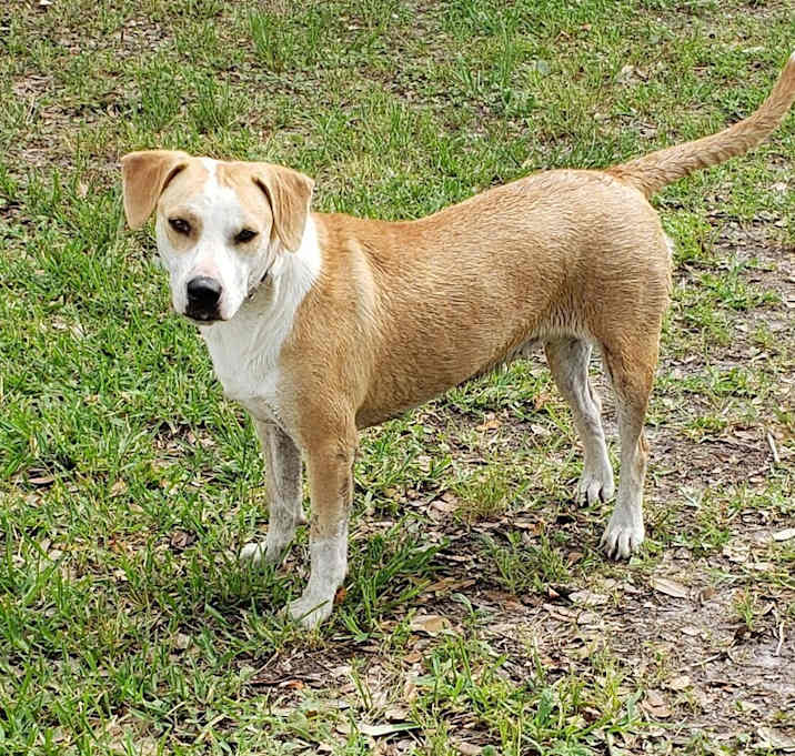 Photo of Bella