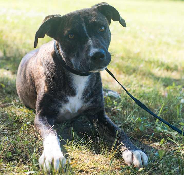 Photo of Hotch
