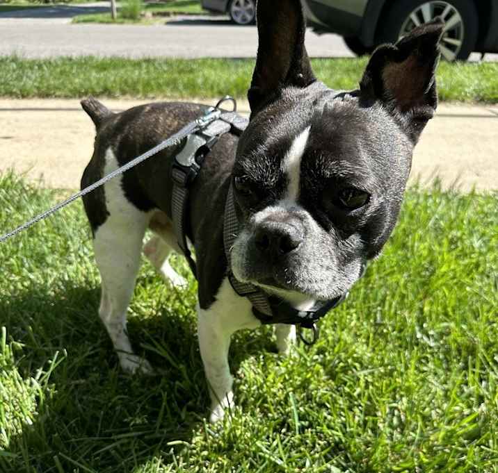 Photo of Manny