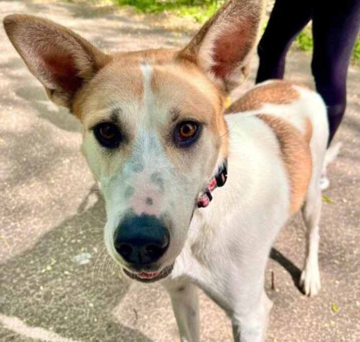 Photo of Molly