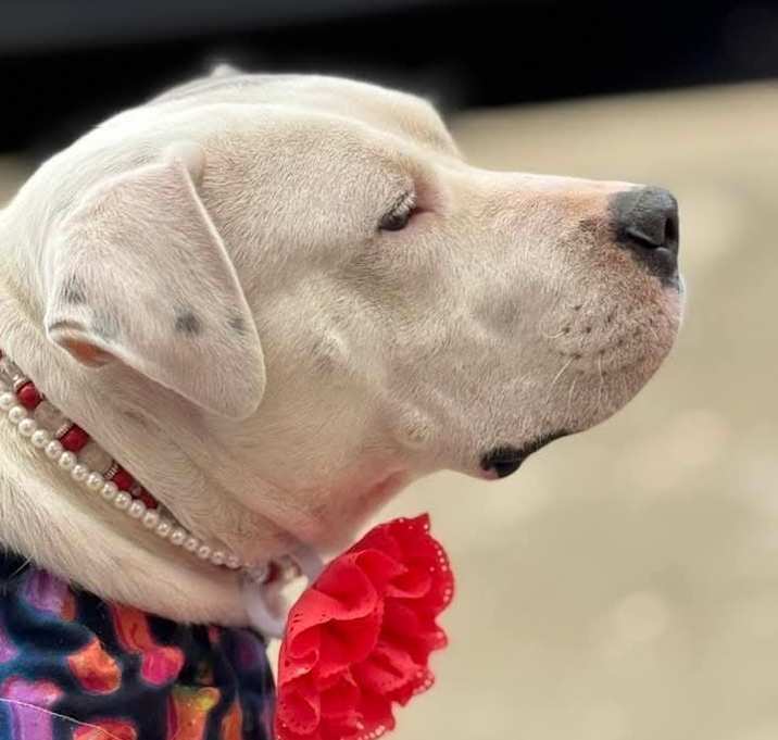 Photo of Penelope