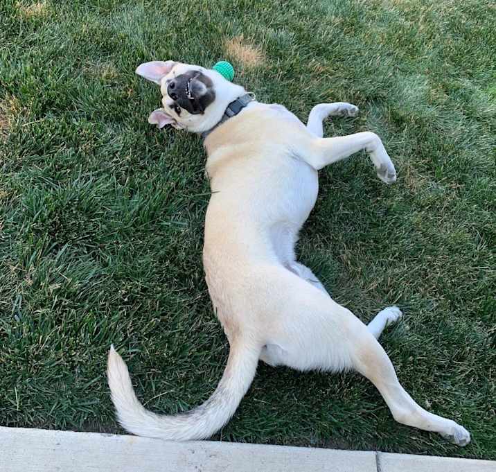 Photo of Reggie
