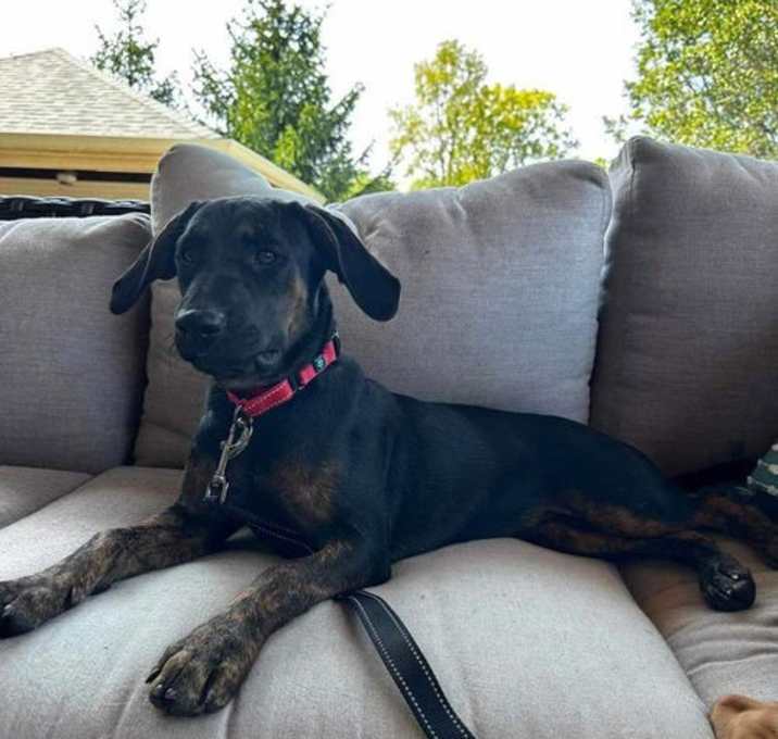 Photo of Lacie