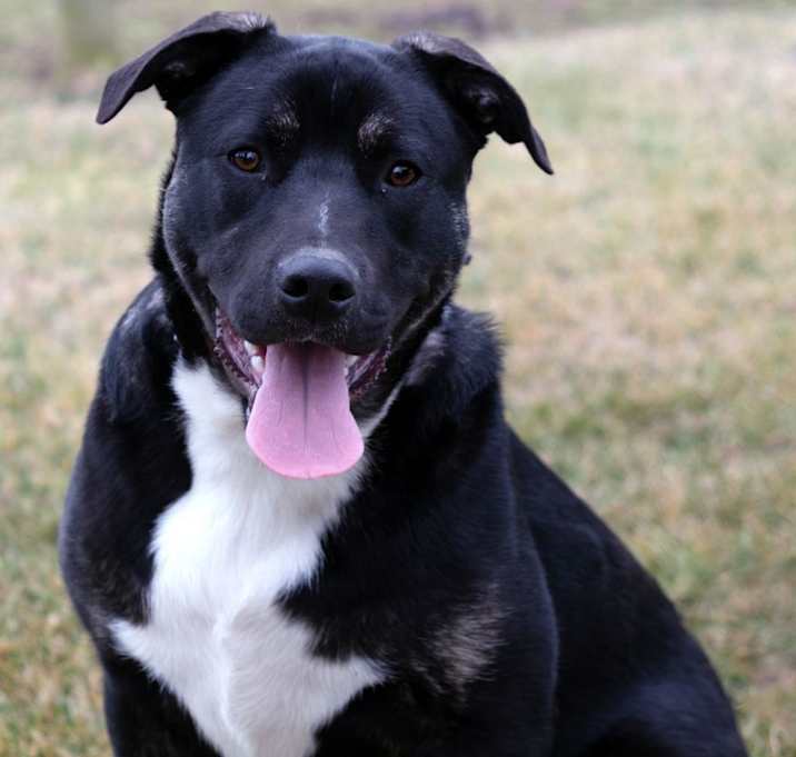 Photo of Finn