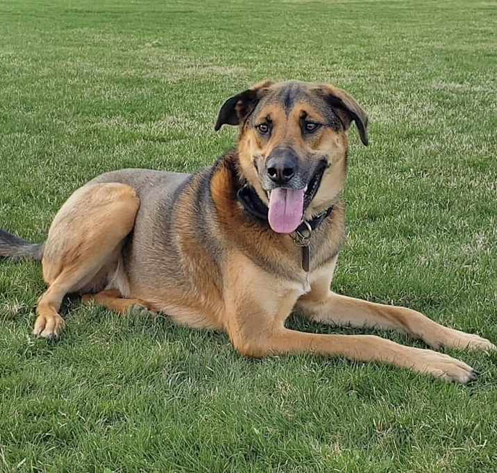 Photo of Waylon