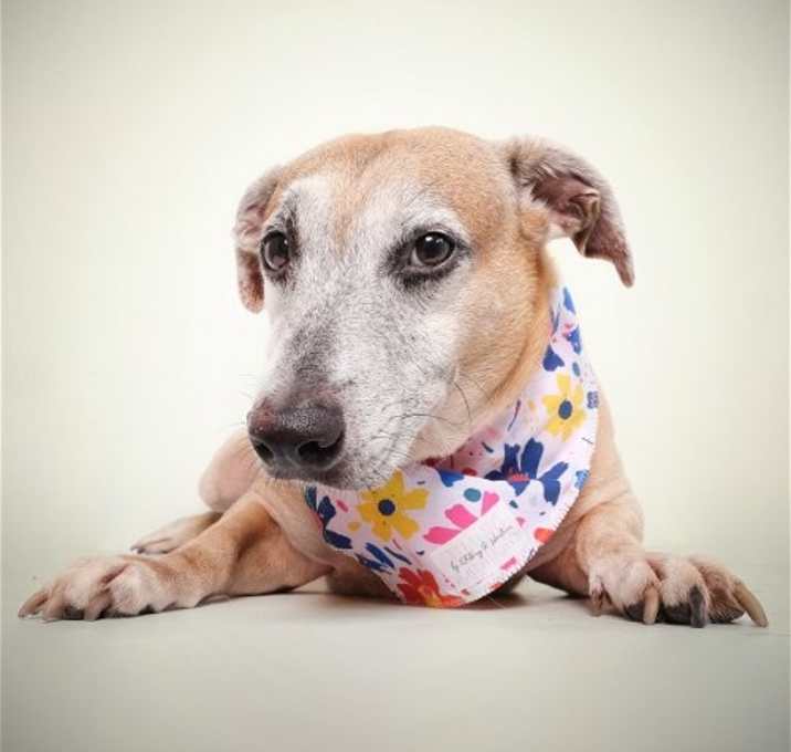 Photo of Cassandra