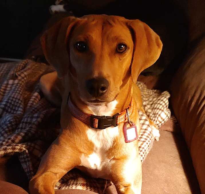 Photo of Georgie Girl